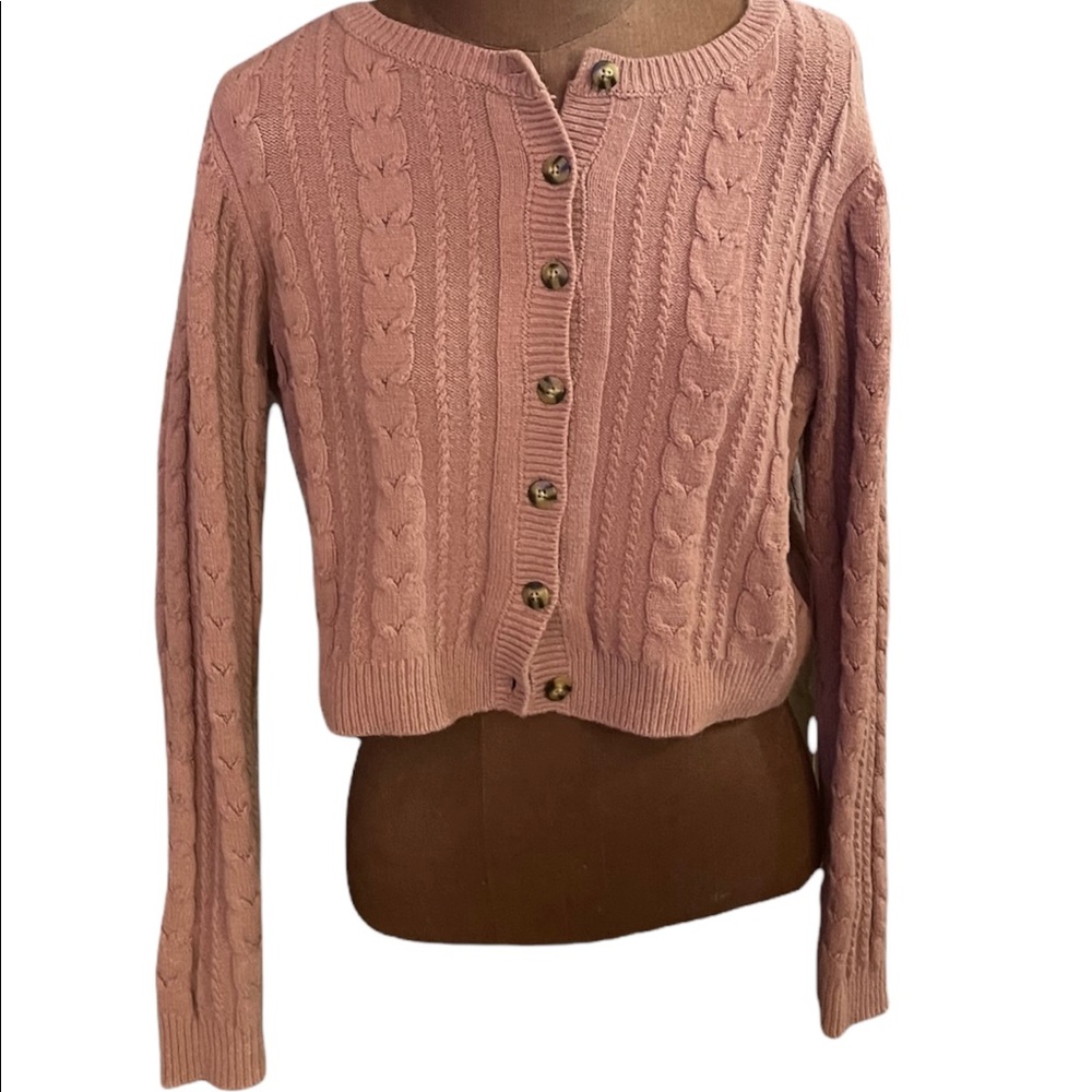 Sale‼️Wild Fable rose crop sweater